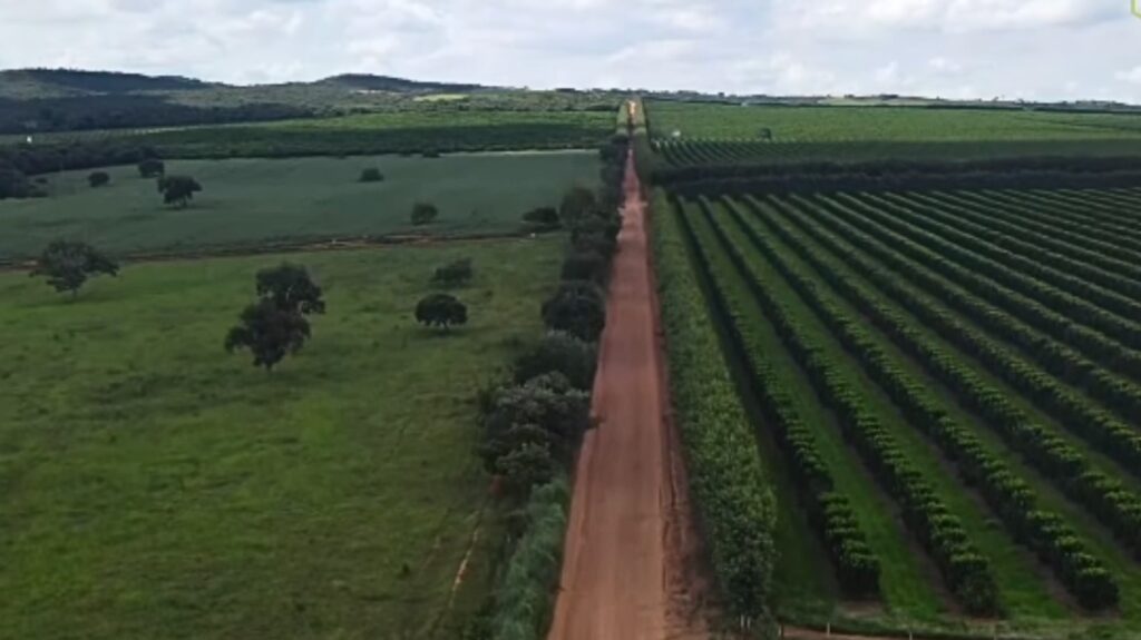 Prefeitura de Hidrolândia investe em pavimentação da GO-589 que liga cidade a Santa Maria prefeitura-de-hidrolandia-investe-em-pavimentacao-da-go-589-que-liga-cidade-a-santa-maria