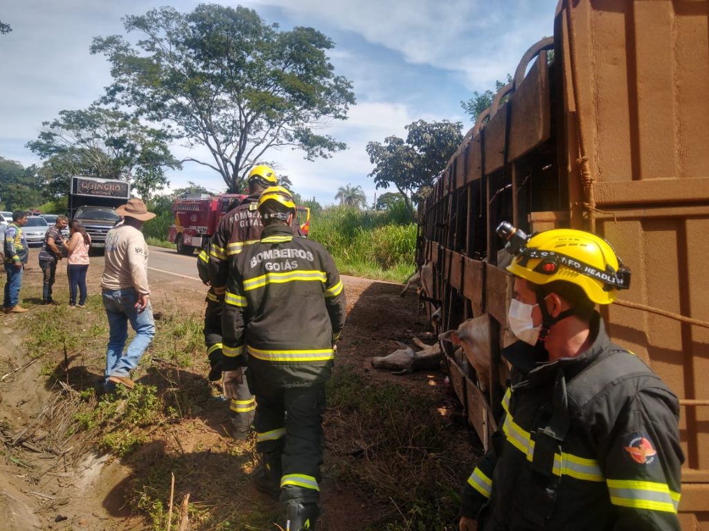 Colisão entre carro de passeio e caminhão deixa 1 morto na GO-222 colisao-entre-carro-de-passeio-e-caminhao-deixa-1-morto-na-go-222