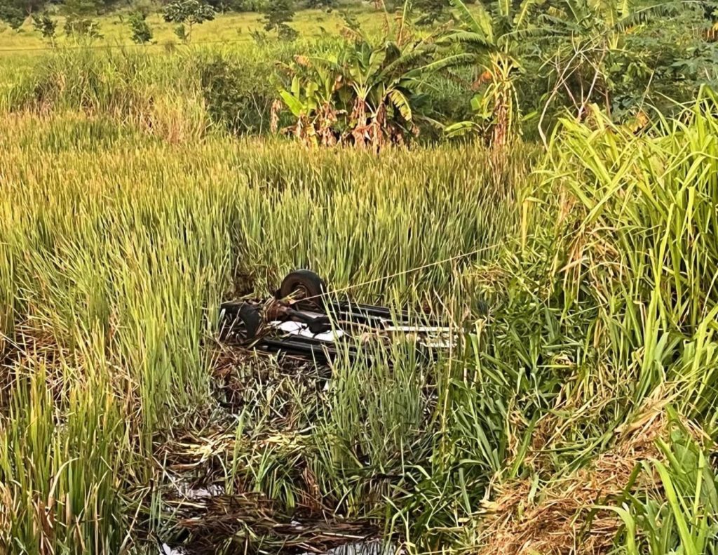 Acidente na BR-452 com caminhonete deixa dois mortos em Goiás acidente-na-br-452-com-caminhonete-deixa-dois-mortos-em-goias