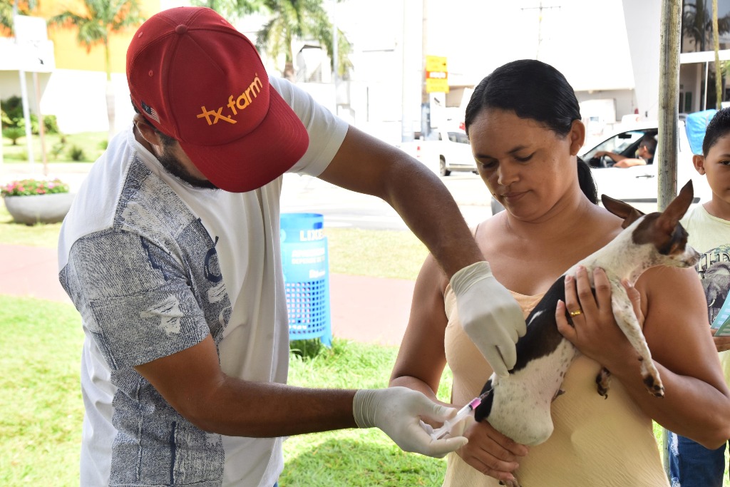 prefeitura-inicia-vacinacao-itinerante-contra-a-raiva-em-caes-e-gatos-de-aparecida