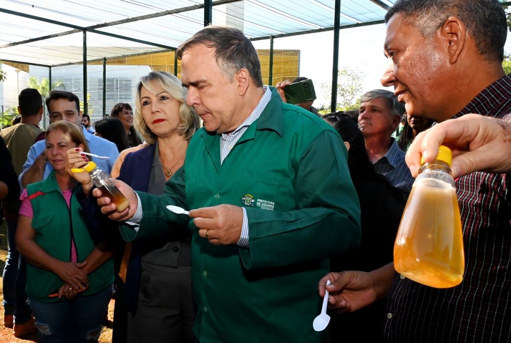 Mabel inaugura espaço para receber abelhas retiradas de árvores em Goiânia mabel-inaugura-espaco-para-receber-abelhas-retiradas-de-arvores-em-goiania