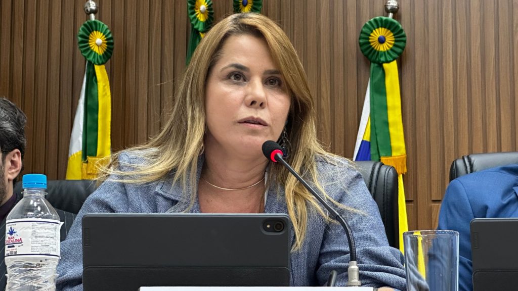 Porangatu pode ganhar novas lixeiras em vias públicas após pedido da vereadora Sandra Ferreira