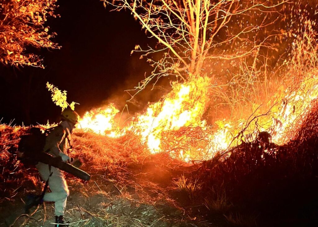 Bombeiros combatem incêndio na zona rural de Mara Rosa bombeiros-combatem-incendio-na-zona-rural-de-mara-rosa