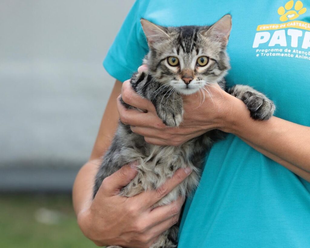 Prefeitura de Aparecida realiza nova feira de adoção de cães e gatos prefeitura-de-aparecida-realiza-nova-feira-de-adocao-de-caes-e-gatos