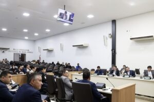 camara-de-rio-verde-aprova-ldo-de-2027-e-mais-41-materias-em-junho